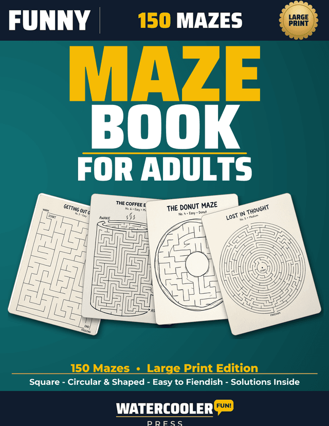 FUNNY MAZE